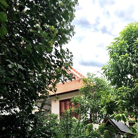 Pearl Paradise Villa Danang Buitenkant foto